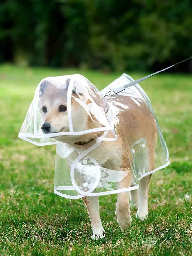 Dogs going out, transparent waterproof raincoat with hat pet raincoat
